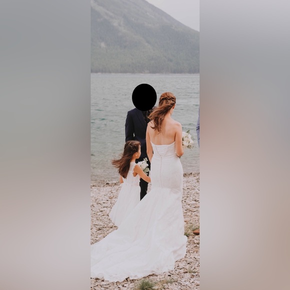 Anne Barge Blue Willow Wedding Dress (Walker style) - Picture 6 of 16